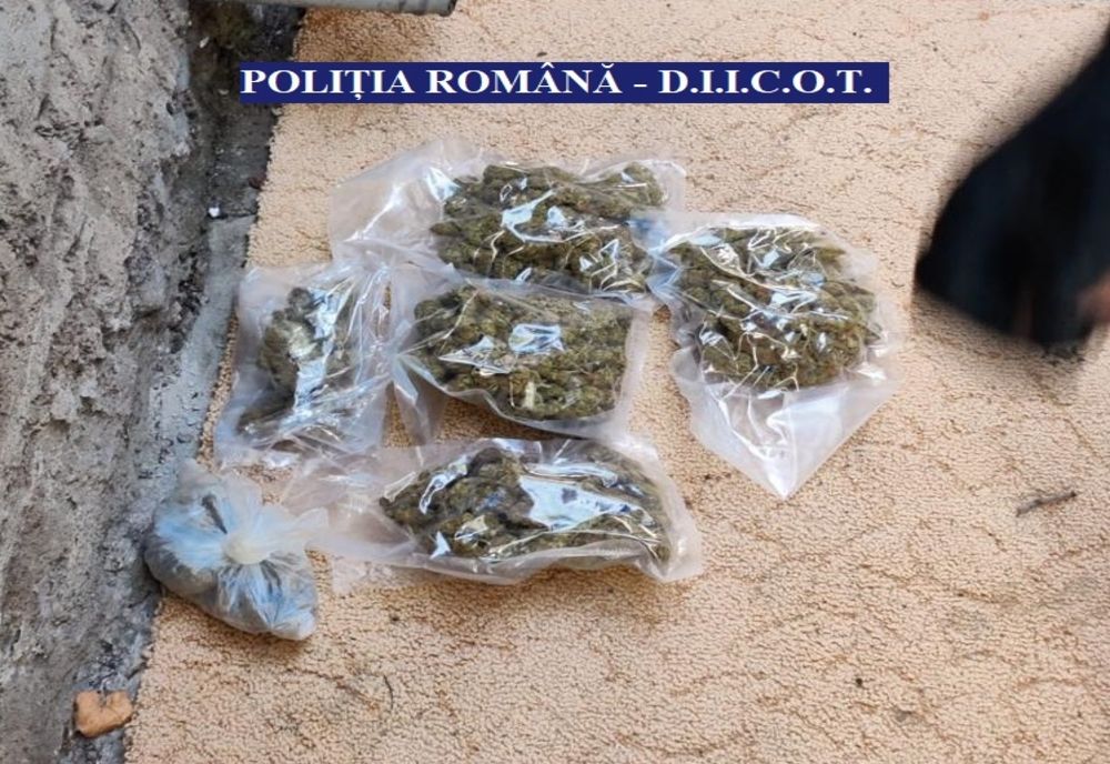 Percheziții în Constanța.Vizați sunt traficanții de droguri