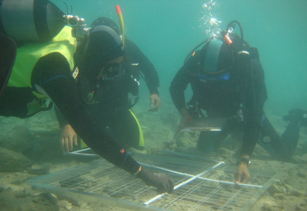 Echipamentele pentru  arheologie subacvatică pentru Muzeul de Istorie și Arheologie Constanța