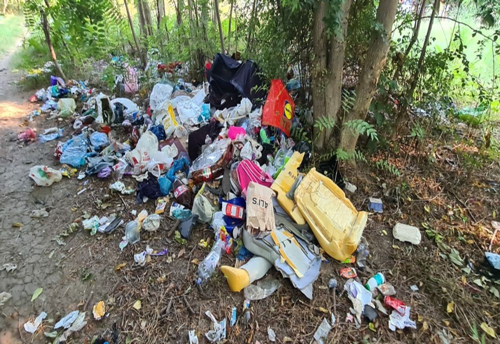 Polițiștii locali în luptă cu cei care aruncă gunoiul pe domeniul public