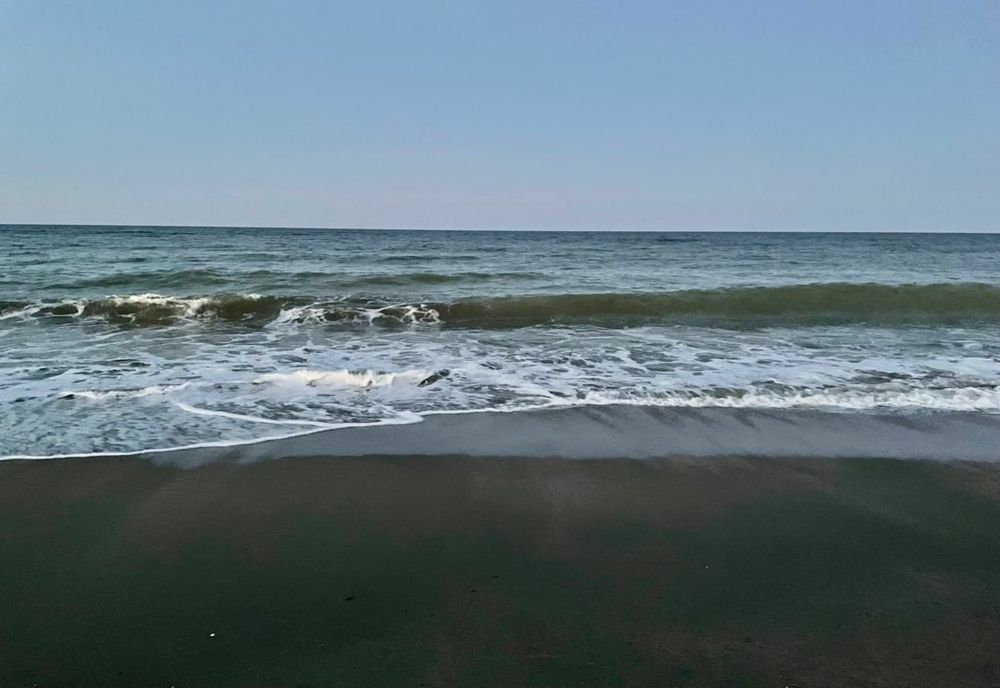 Descoperire macabră pe o plajă din Constanța