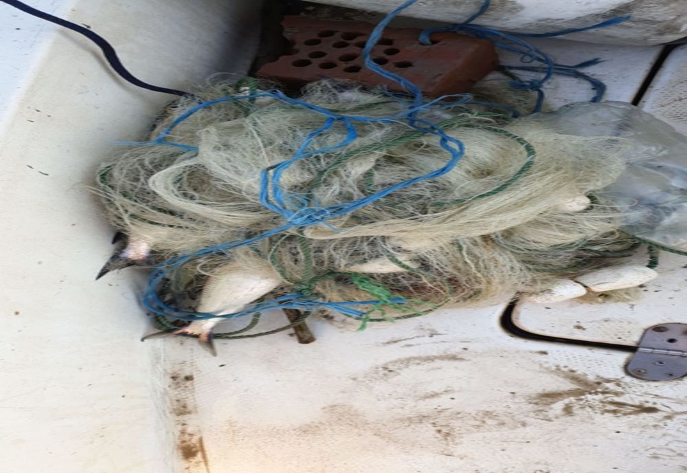 Percheziții la braconierii din Sinoie