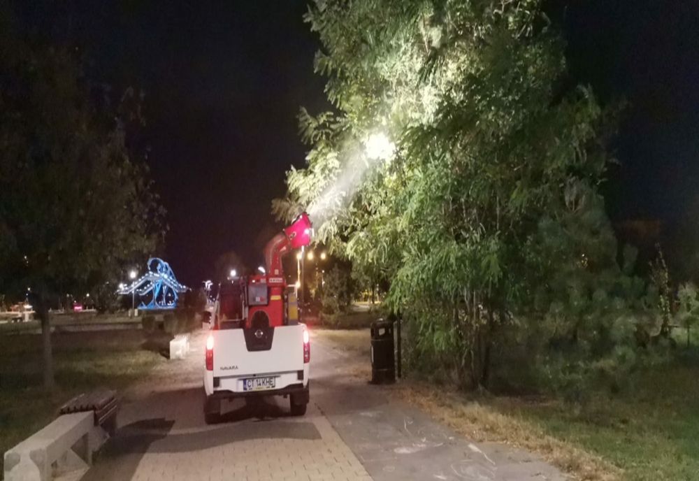 Primăria Constanța început stropirea copacilor împotriva dăunătorilor și acțiuni de dezinsecție