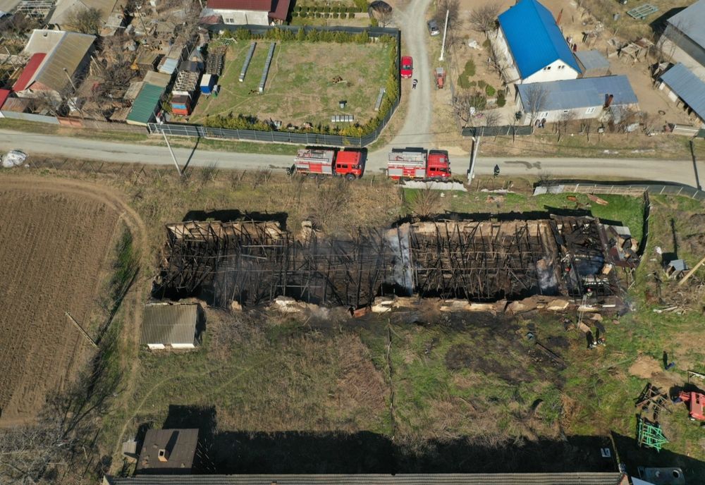 VIDEO Incendiu violent. Grajd făcut scrum