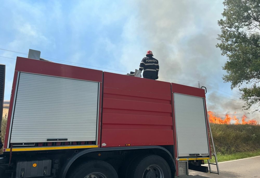 VIDEO 30 de ha de grâu și 8 ha de vegetație uscată făcute scrum în Tulcea