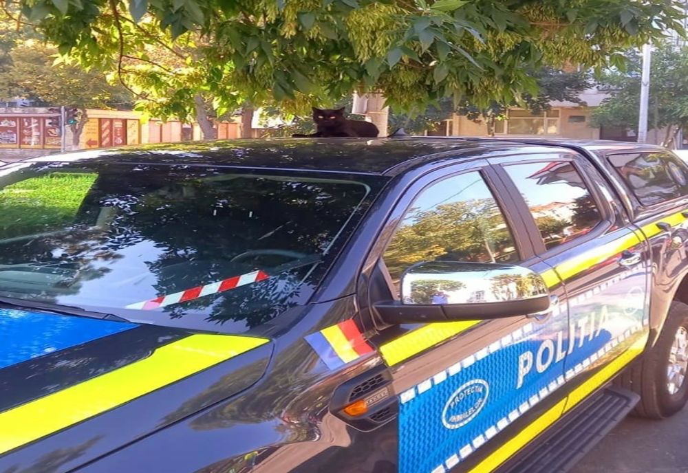 Zi cu ghinion pentru un constănțean