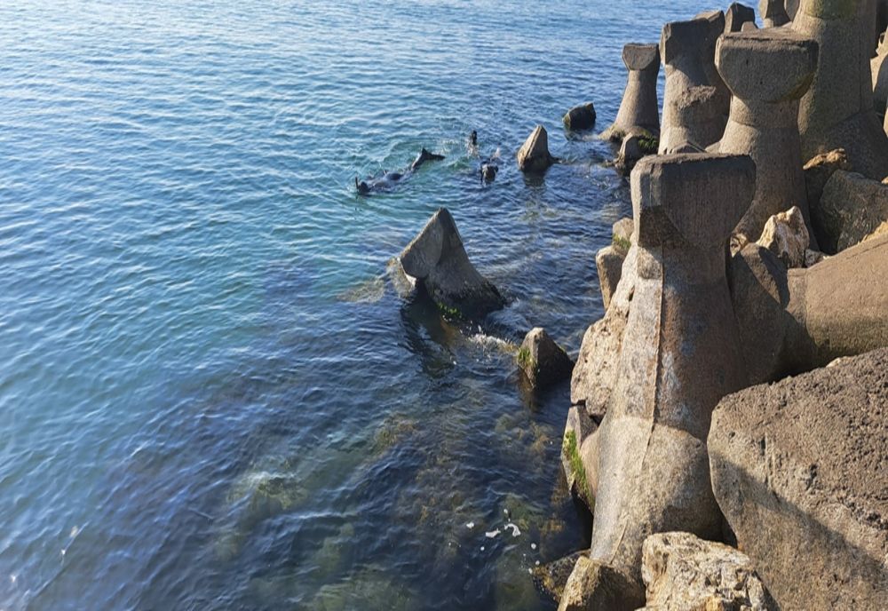 VIDEO Tânărul dispărut în mare, la Costinești, căutat de scafandri de opt zile