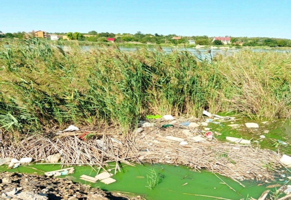 FOTO Deșeuri îngropate pe malul Lacului Techirghiol. Sesizare penală făcută de Garda de Mediu