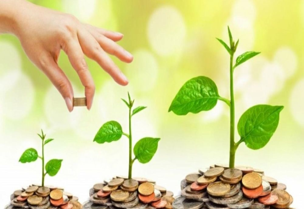 Tabăra urbană de educație financiară