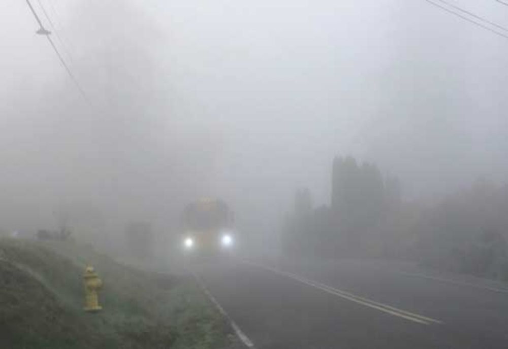 COD GALBEN de CEAȚĂ în județele Constanța și Tulcea