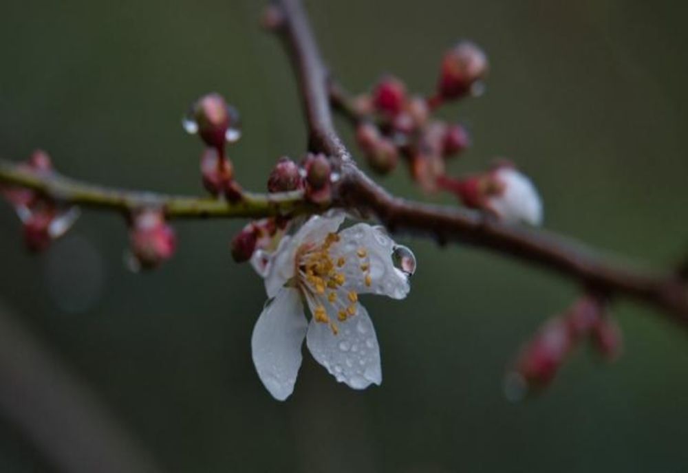 Vremea 9 aprilie. Temperaturile se mențin scăzute