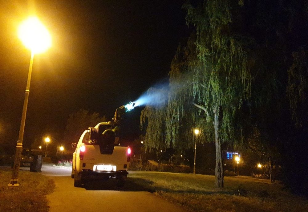 Dezinsectie si tratamente fitosanitare în Constanța