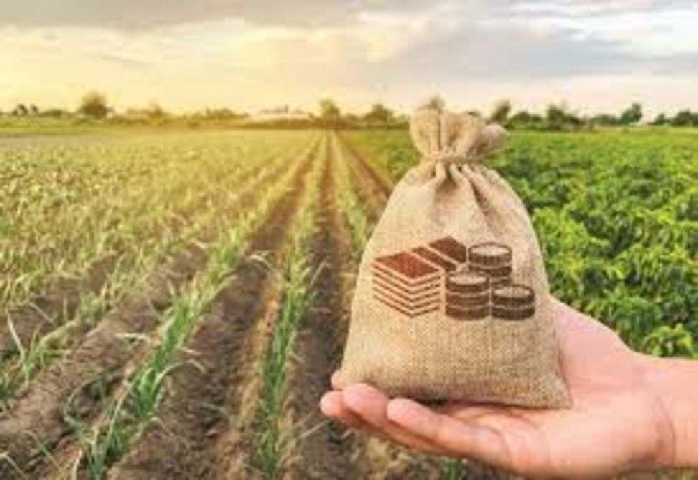 CUM AR FI PUTUT FI FĂCUTĂ O ECONOMIE DE 210 MILIOANE DE EURO PENTRU FERMIERI