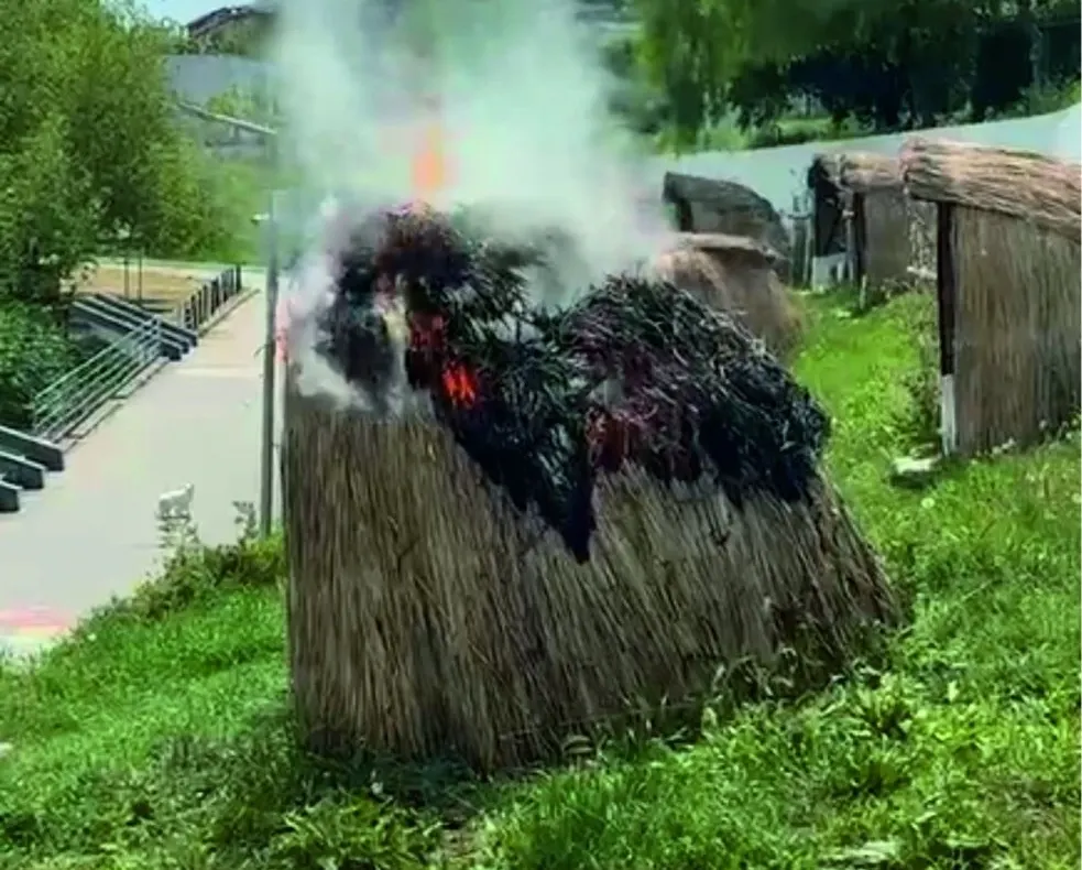 Vandalism pe faleza din Ovidiu. Patru tinere au făcut scrum un bungalou VIDEO