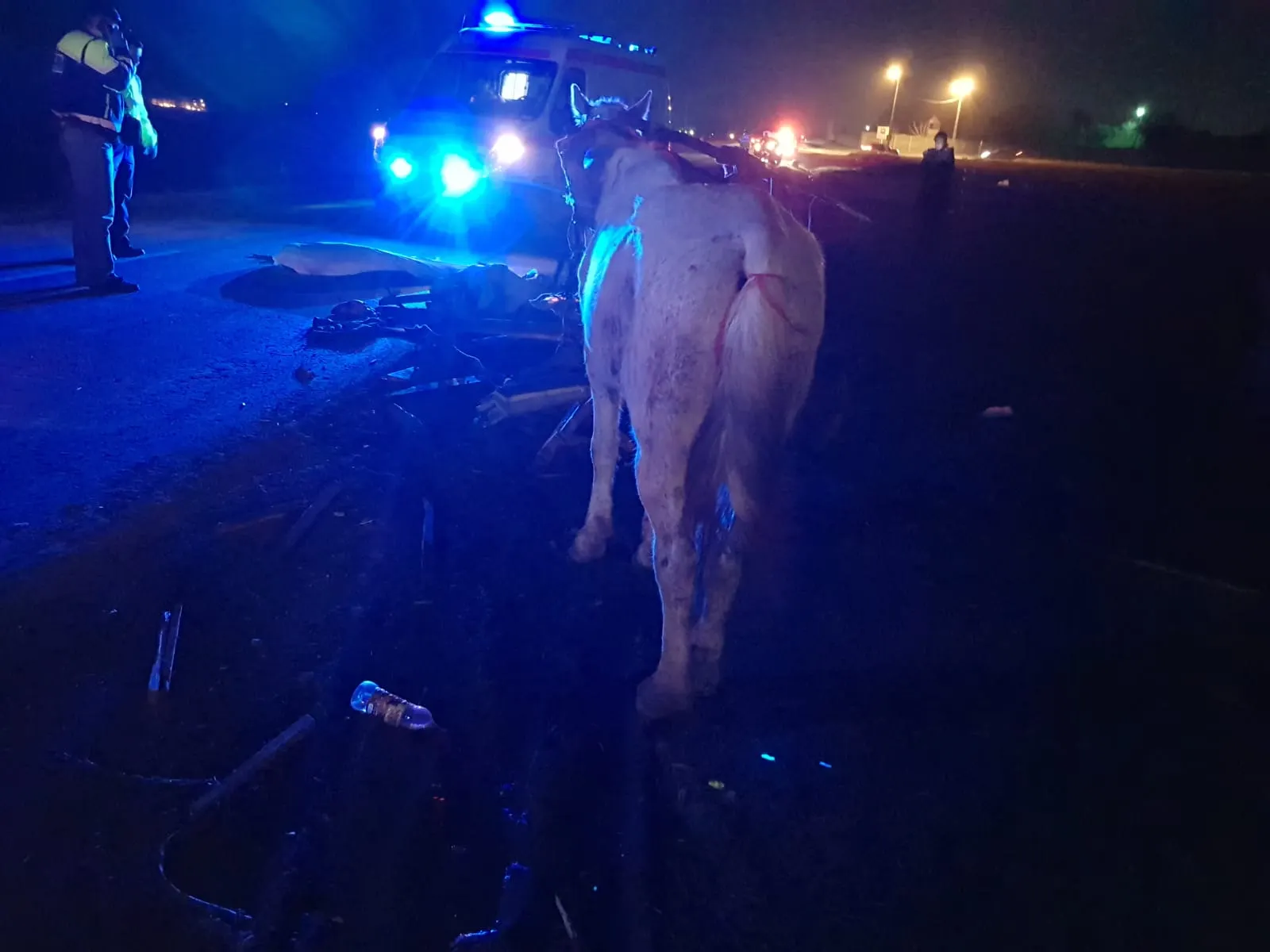 accident (4)