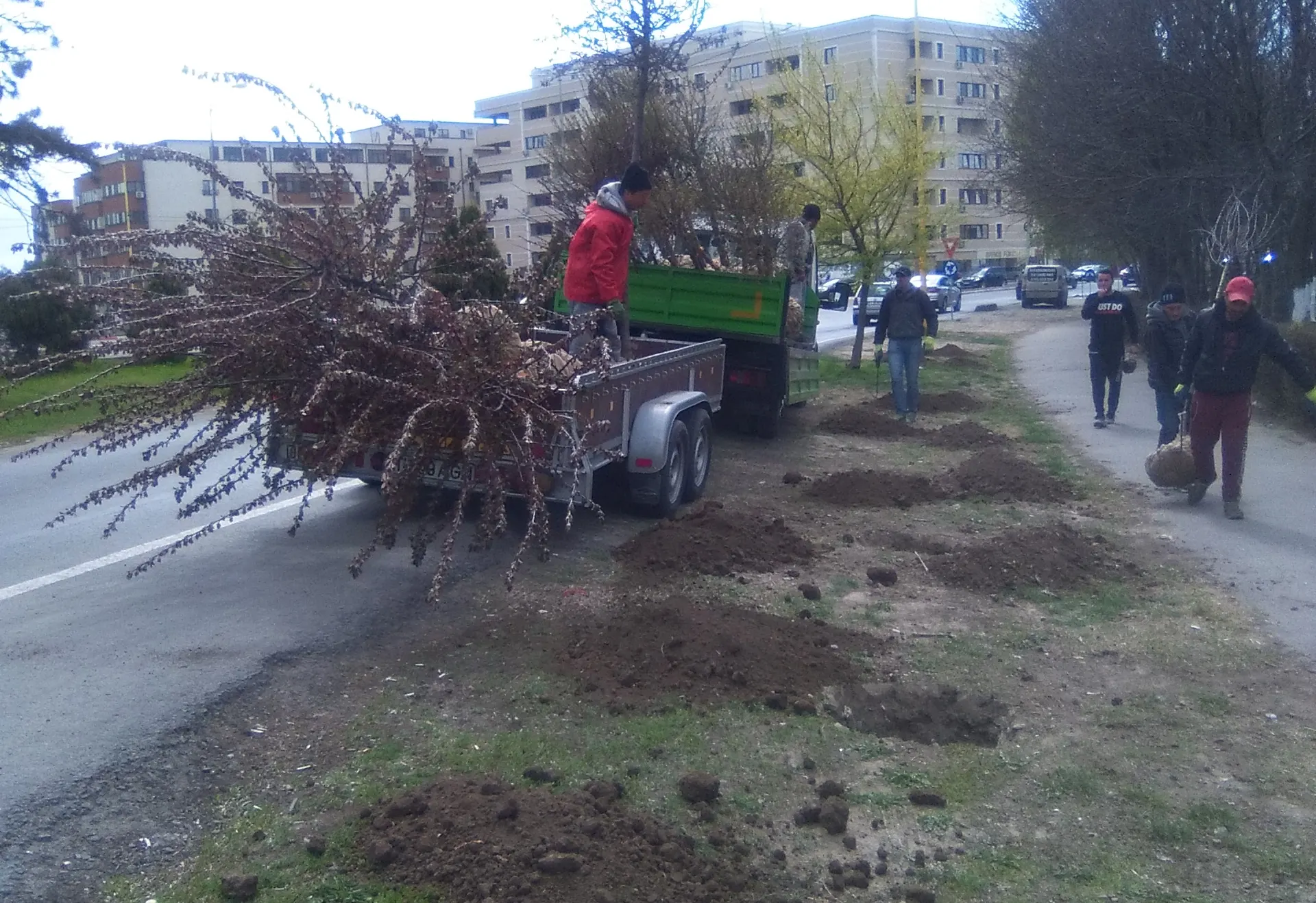 plantari (2)
