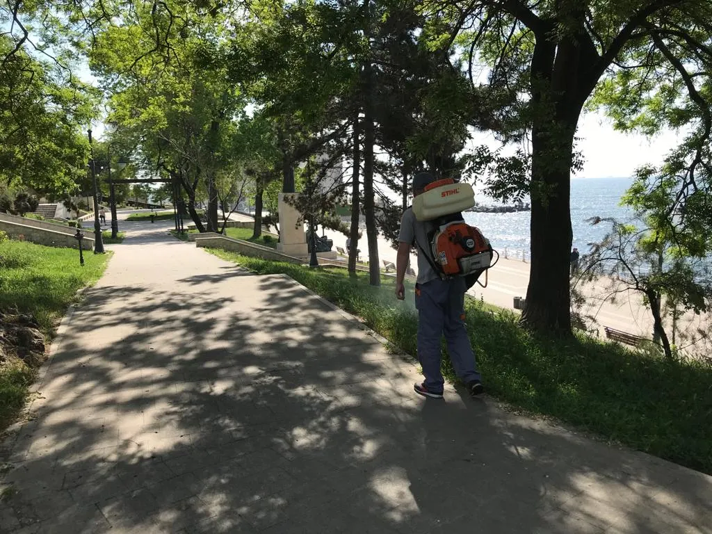 dezinsectie mai 2019 (3)