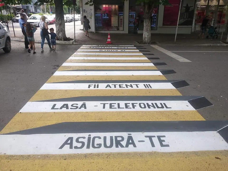 Zebra3D (4)