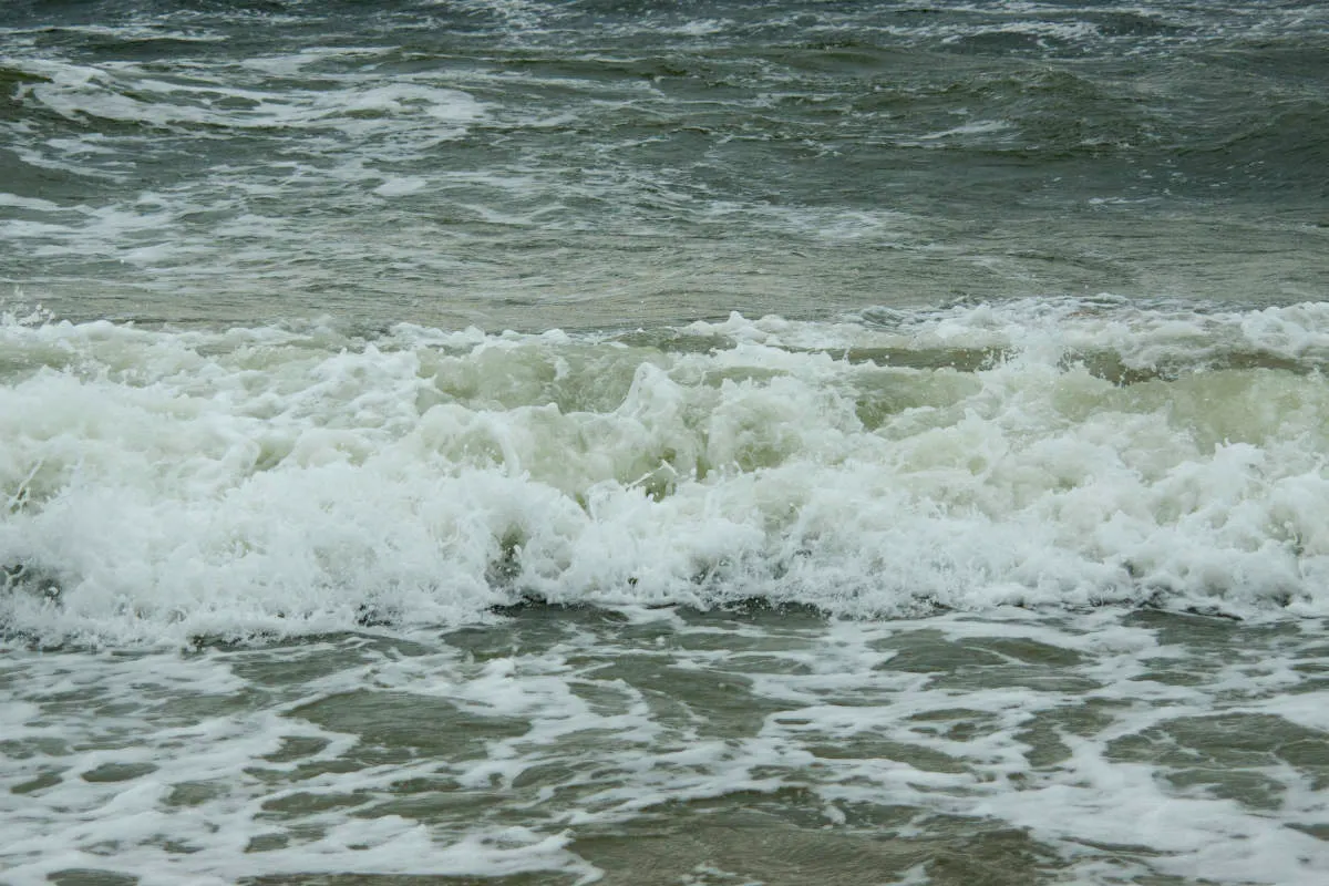 mare