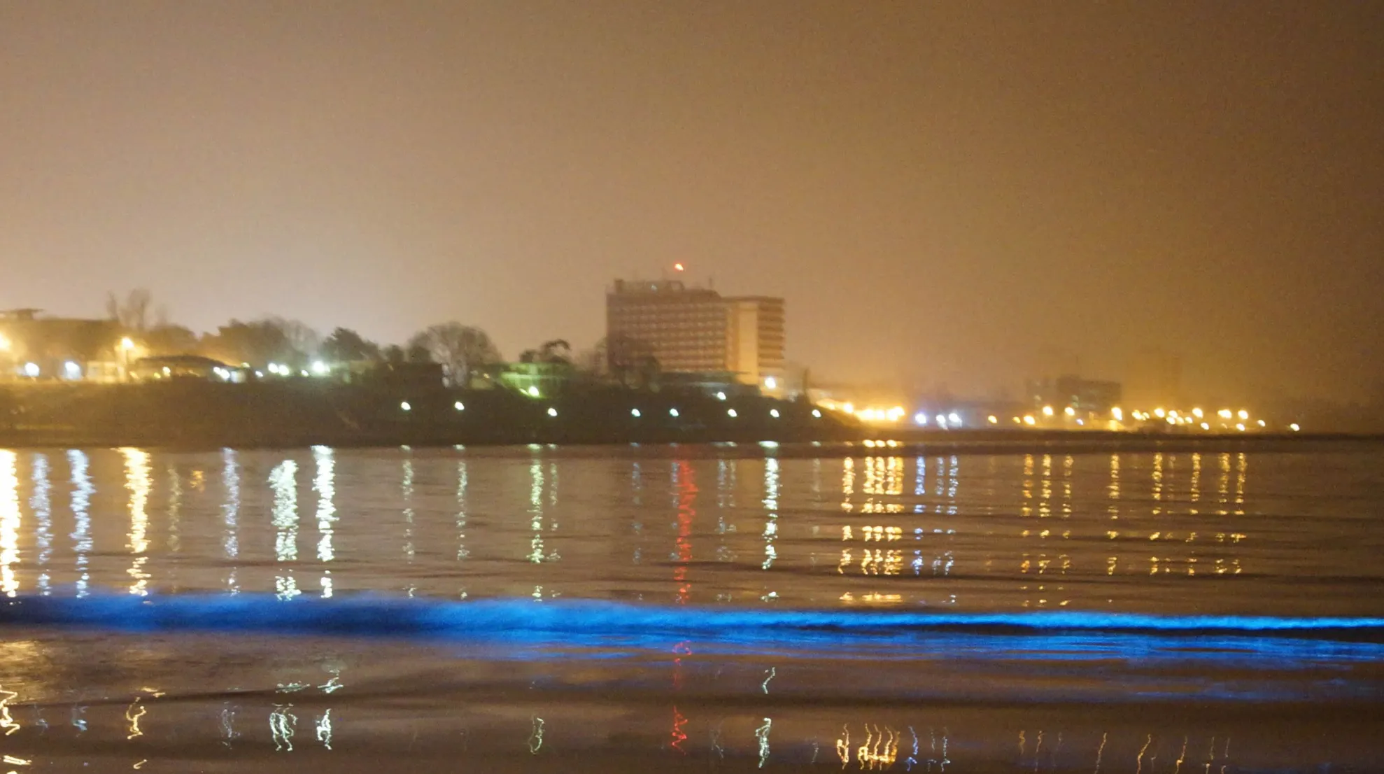mangalia