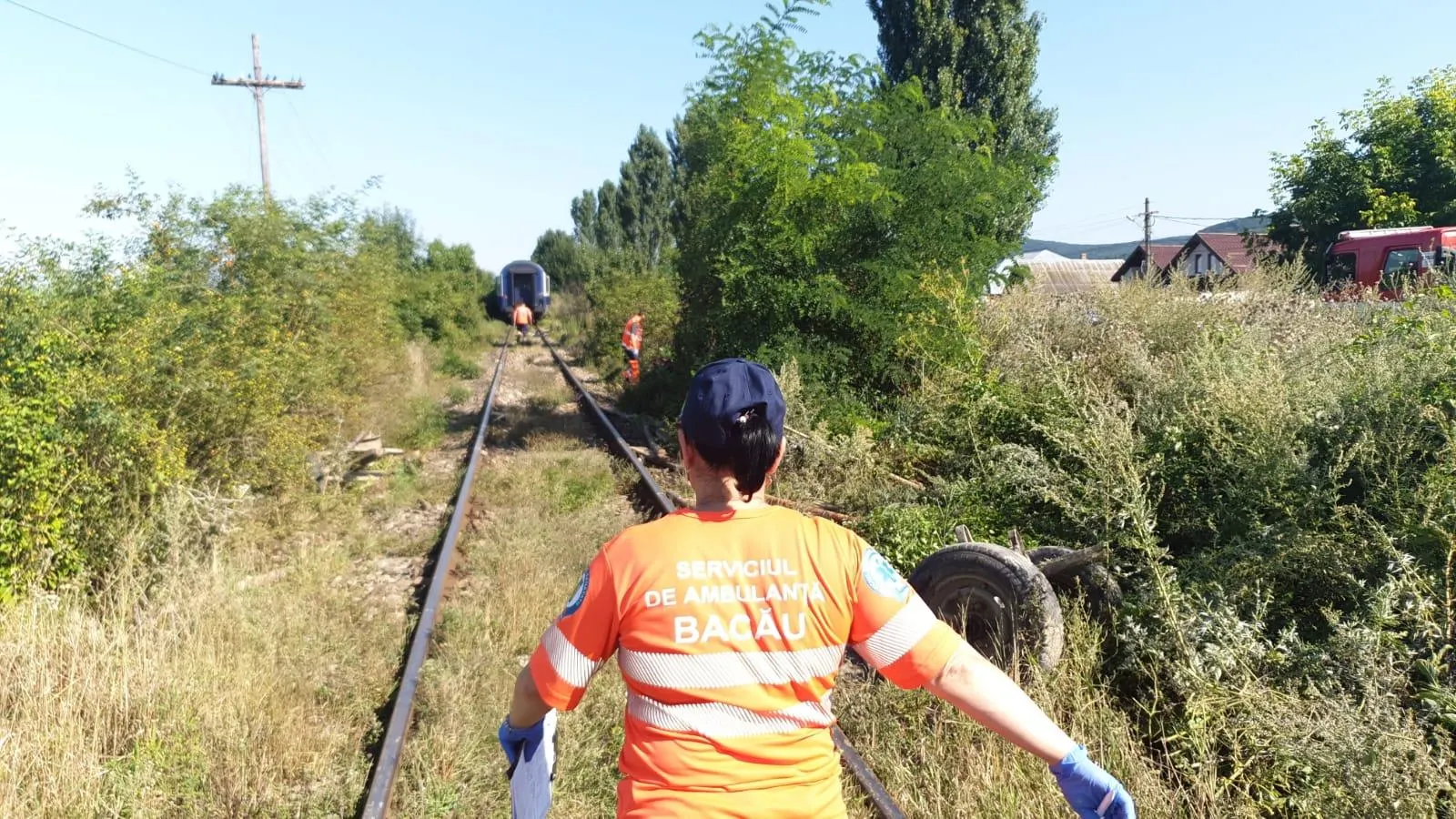 tren4