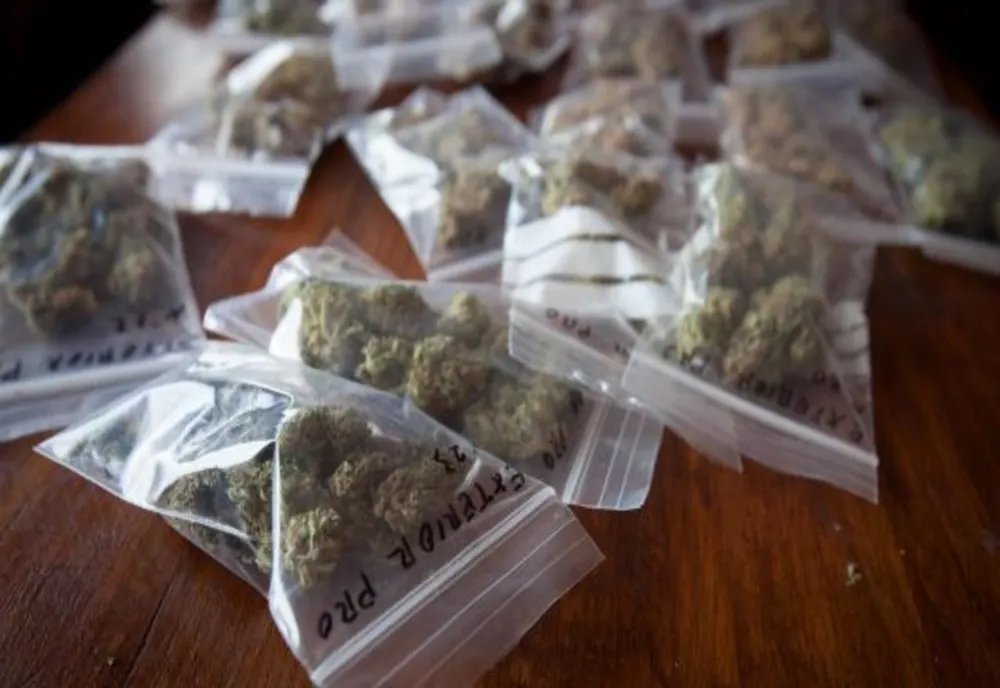 Traficant de cannabis, prins în flagrant la Constanța