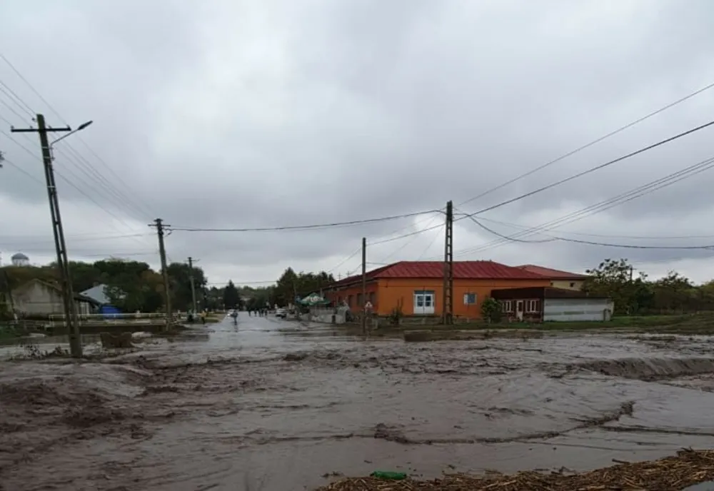 Gospodării inundate în satul Credința