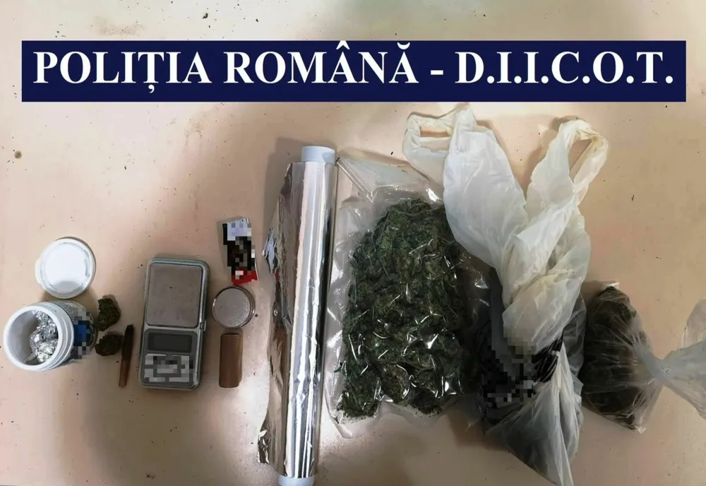 VIDEO Percheziții la Constanța. Grupare de traficanți de droguri destructurată de mascați