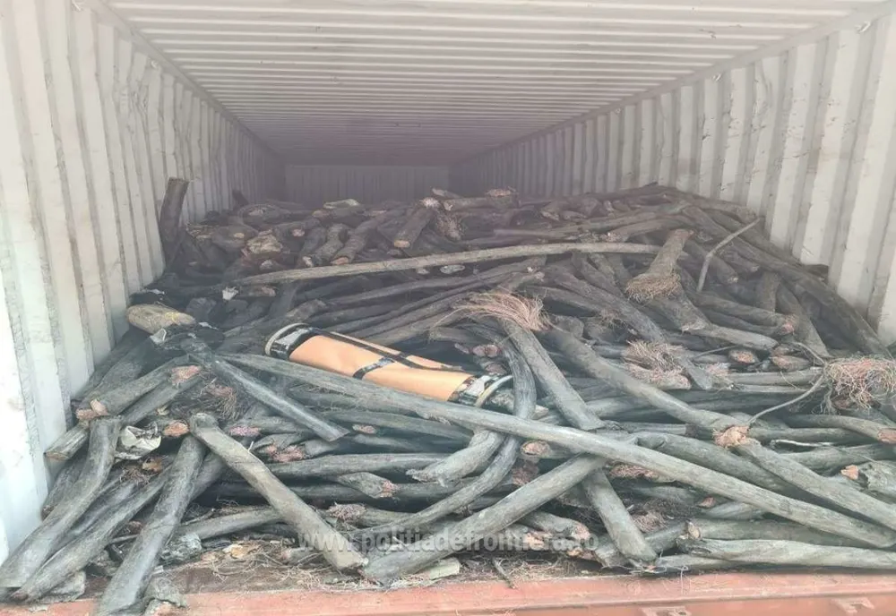Container cu 23 tone de deșeuri, oprit în Portul Constanța  Sud Agigea