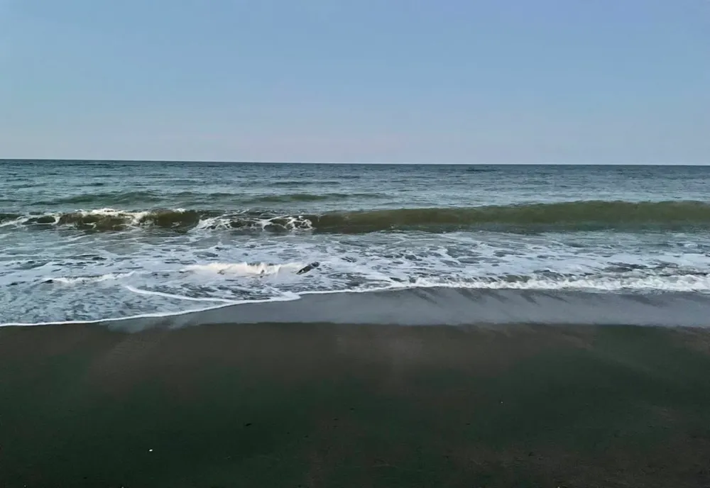 Descoperire macabră pe o plajă din Constanța