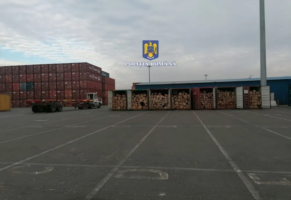 FOTO Șapte containere cu lemn de stejar prelucrat, de aproximativ 100.000 de euro, confiscat de polițiștii constănțeni