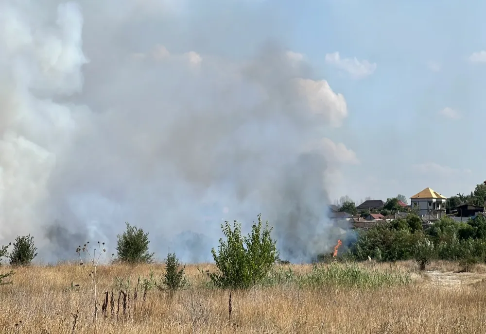 VIDEO Incendiu violent la Medgidia. 50 de hectare de vegetație uscată făcute scrum