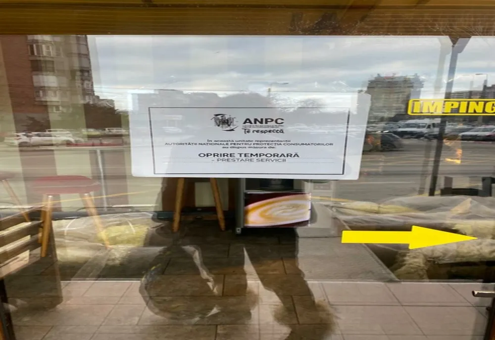 FOTO VIDEO Gândaci și mizerie. Fast -food închis și amendat de Protecția Consumatorilor