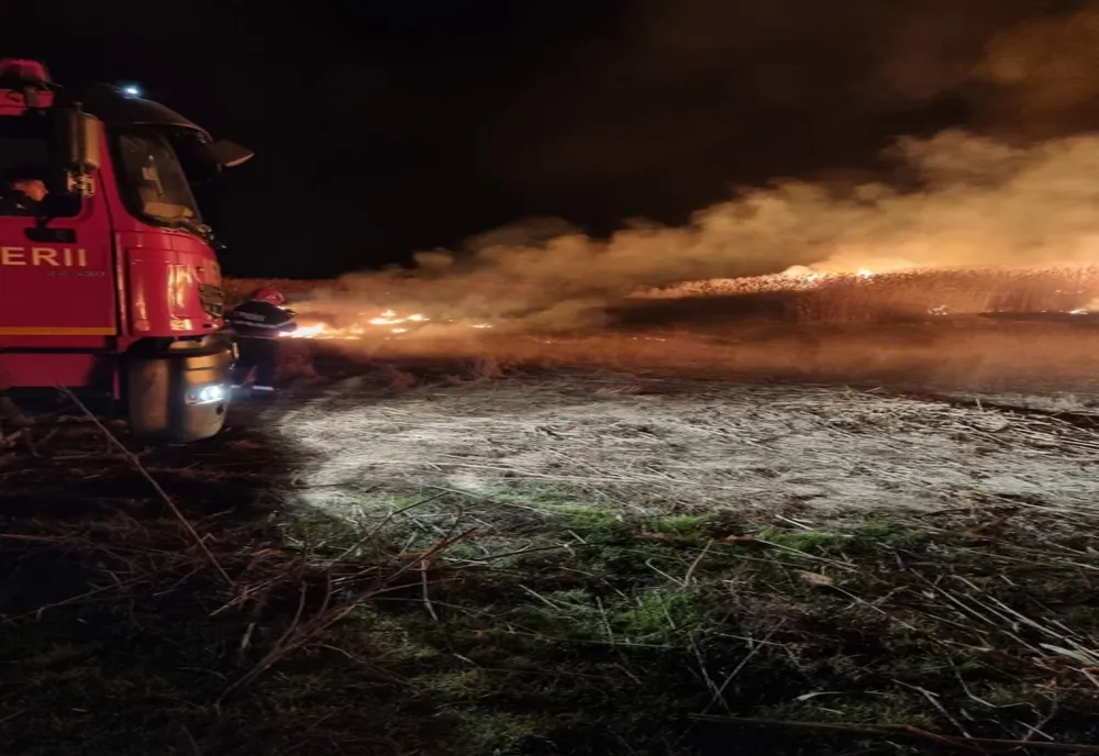 FOTO VIDEO Peste 110 hectare de terenuri cu vegetație uscată și palustră au ars în Tulcea