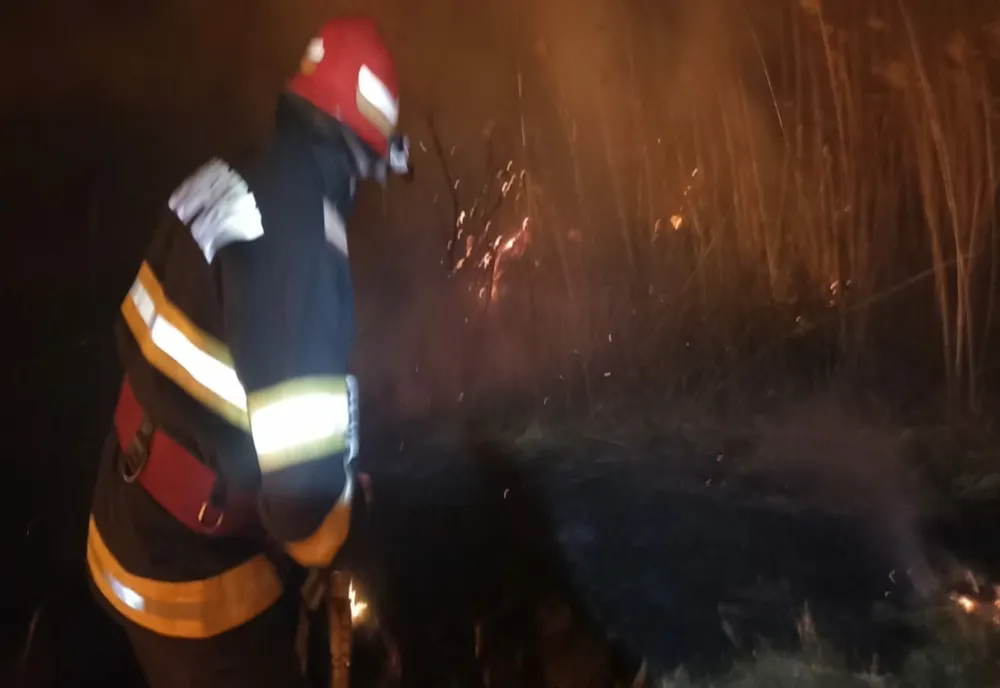 VIDEO 15 hectare de vegetație uscată făcute scrum în Tulcea