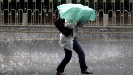 ploaie_si_vant_02784700