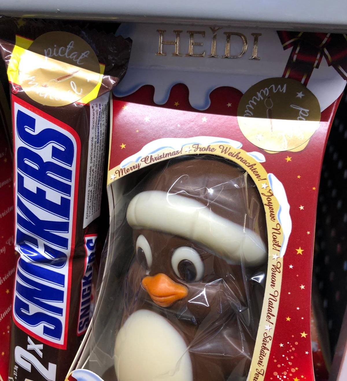 WhatsApp Image 2019-01-08 at 14.42.44