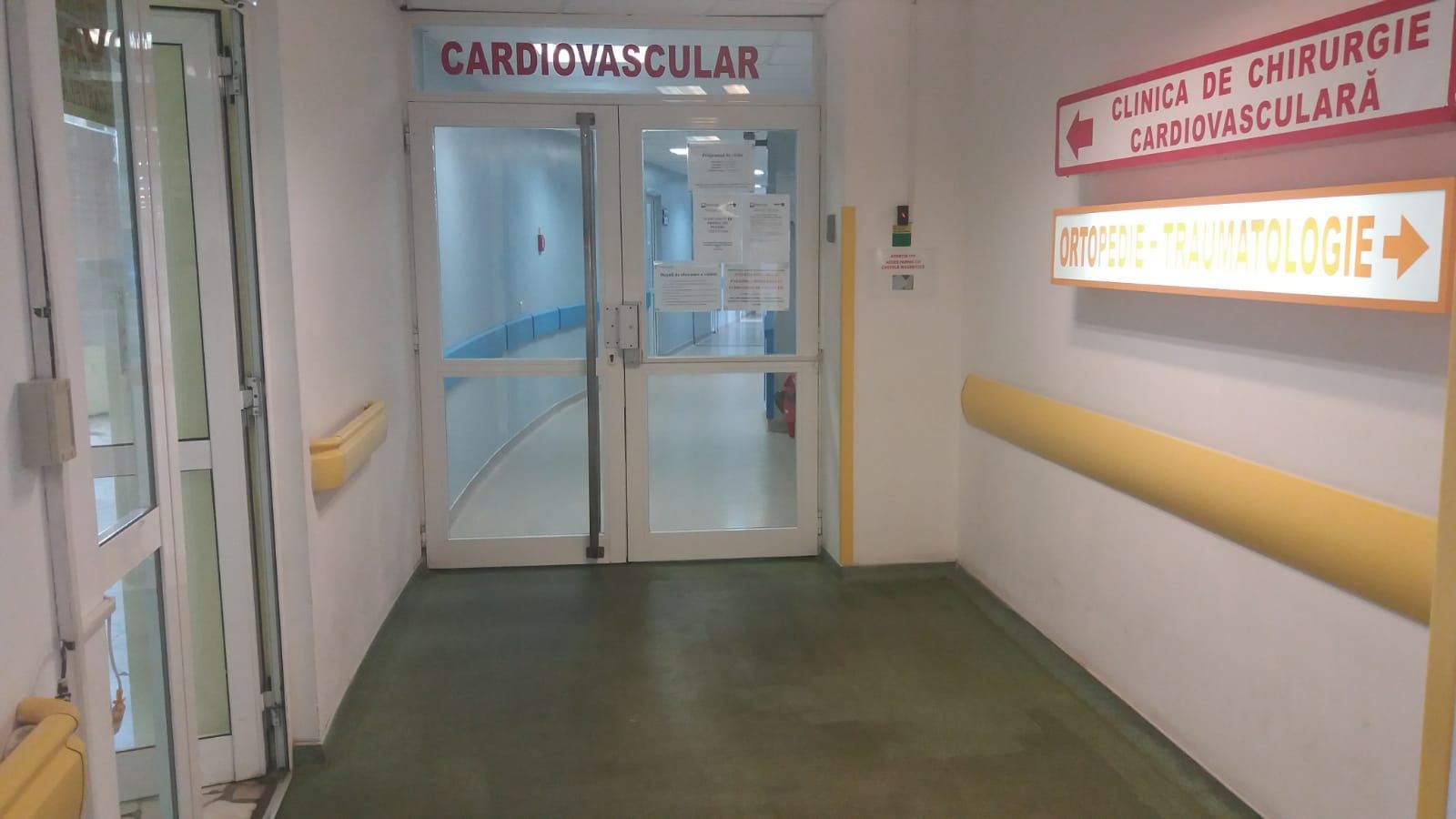 Chirurgie vasculară