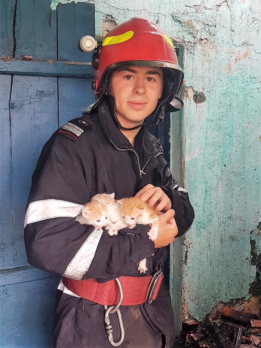 WhatsApp Image 2019-05-16 at 11.58.48