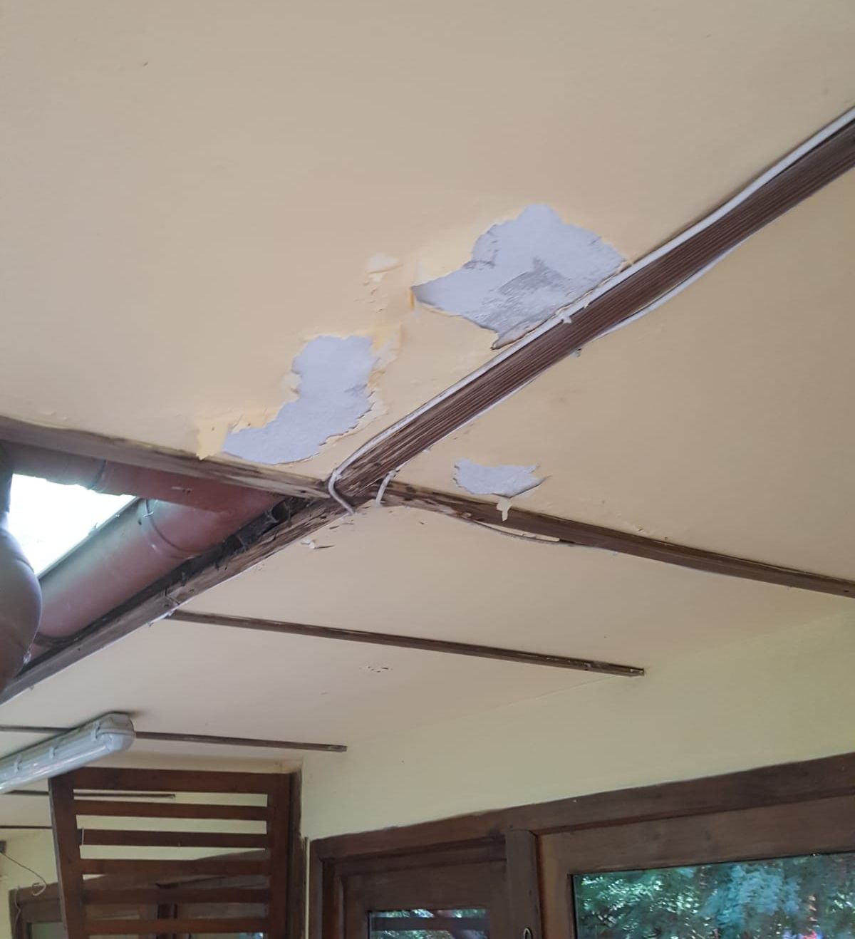 WhatsApp Image 2019-08-15 at 13.06.39