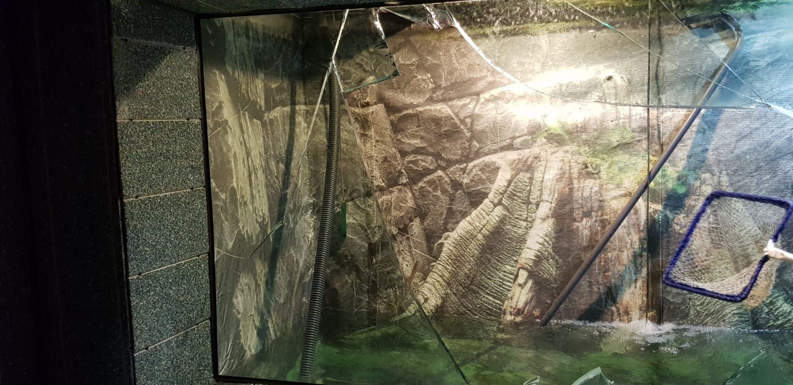 WhatsApp Image 2019-08-15 at 15.03.24