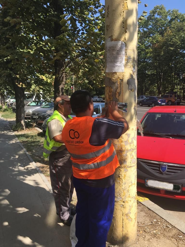 igienizare stalpi iluminat stradal (2)