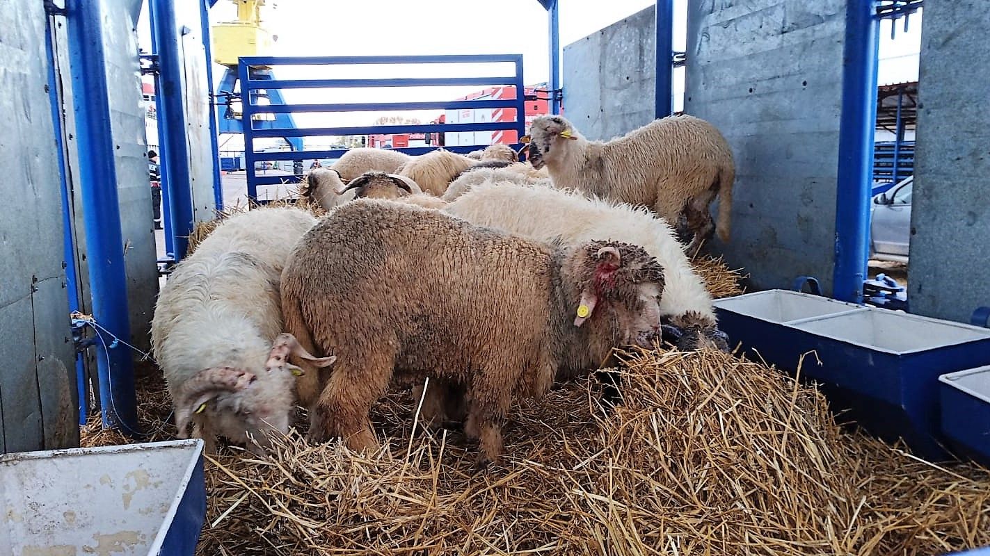 WhatsApp Image 2019-11-24 at 15.44.58