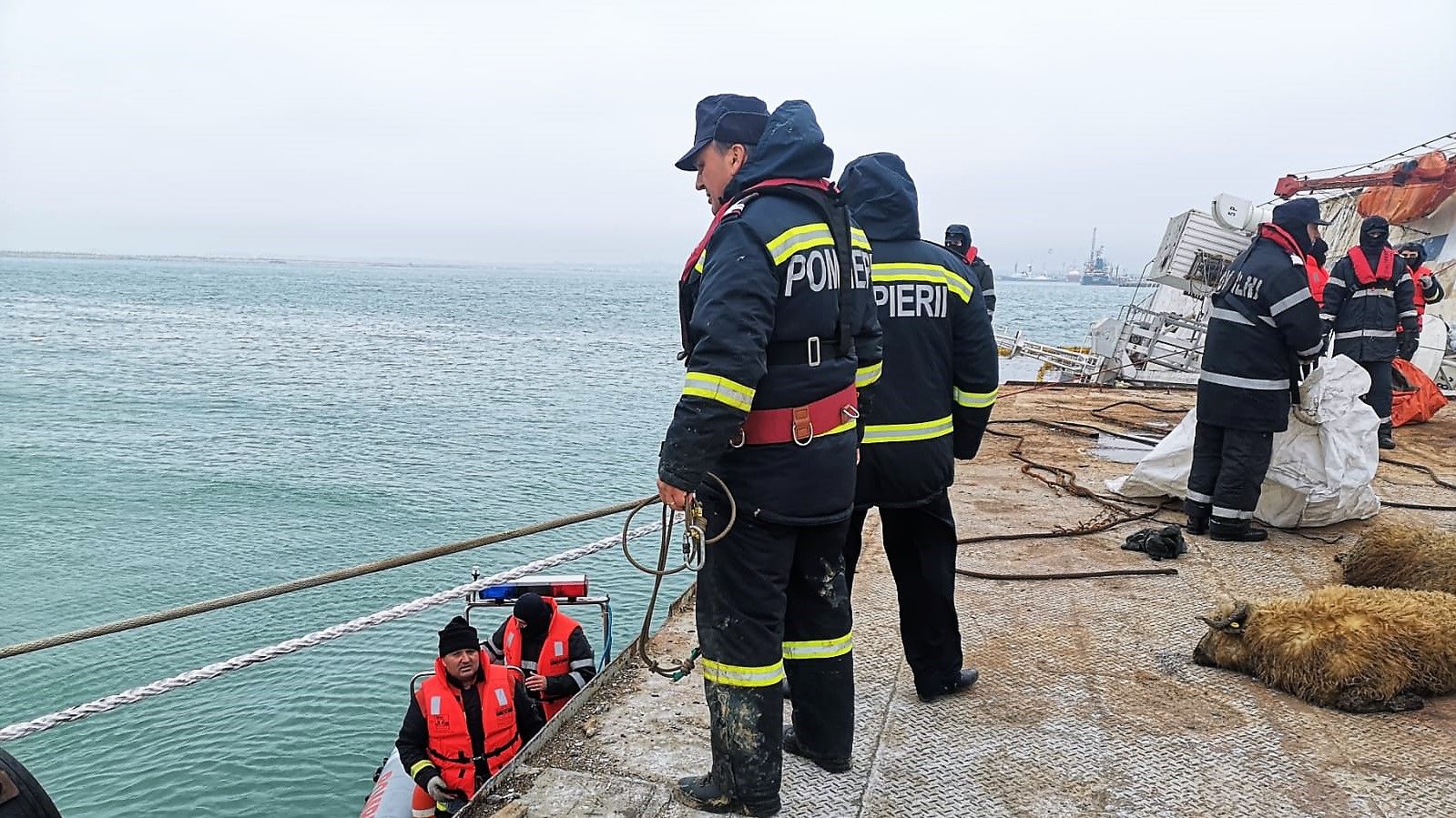 WhatsApp Image 2019-11-26 at 14.45.58