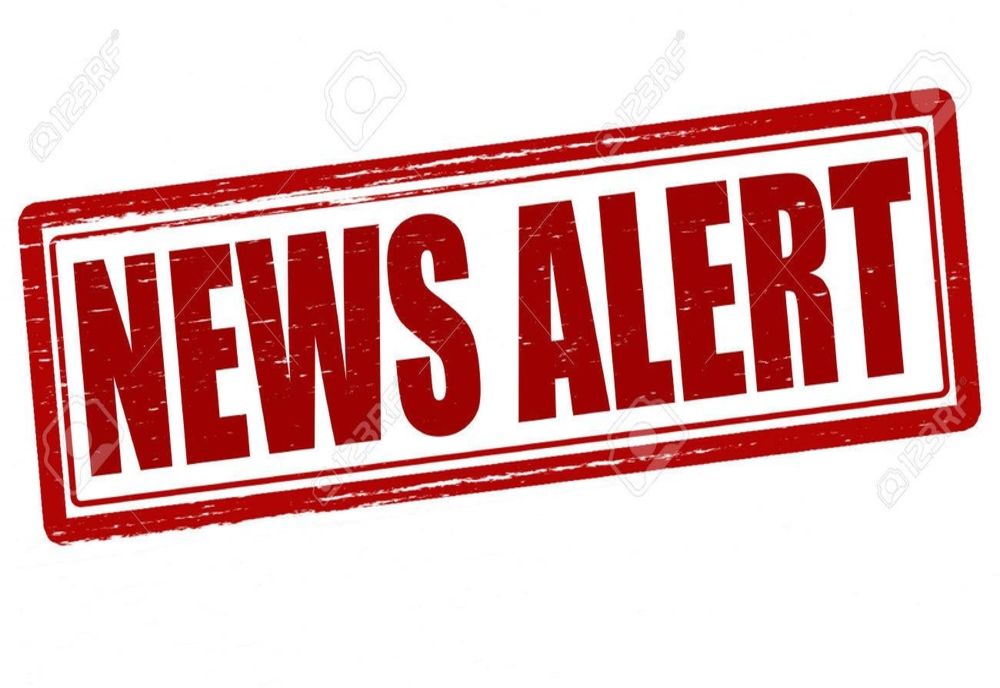 Ursul rănit în accidentul de la Praid a fost eutanasiat. Animalul avea trei picioare facturate 