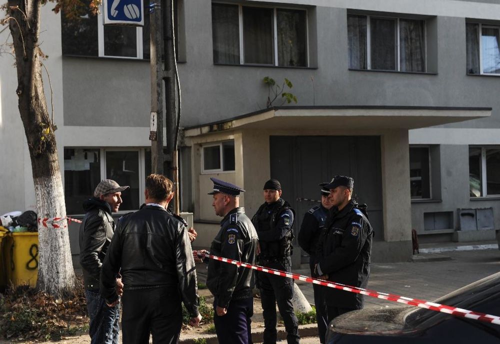 Pisică salvată de pompieri din blocul groazei de la Timișoara