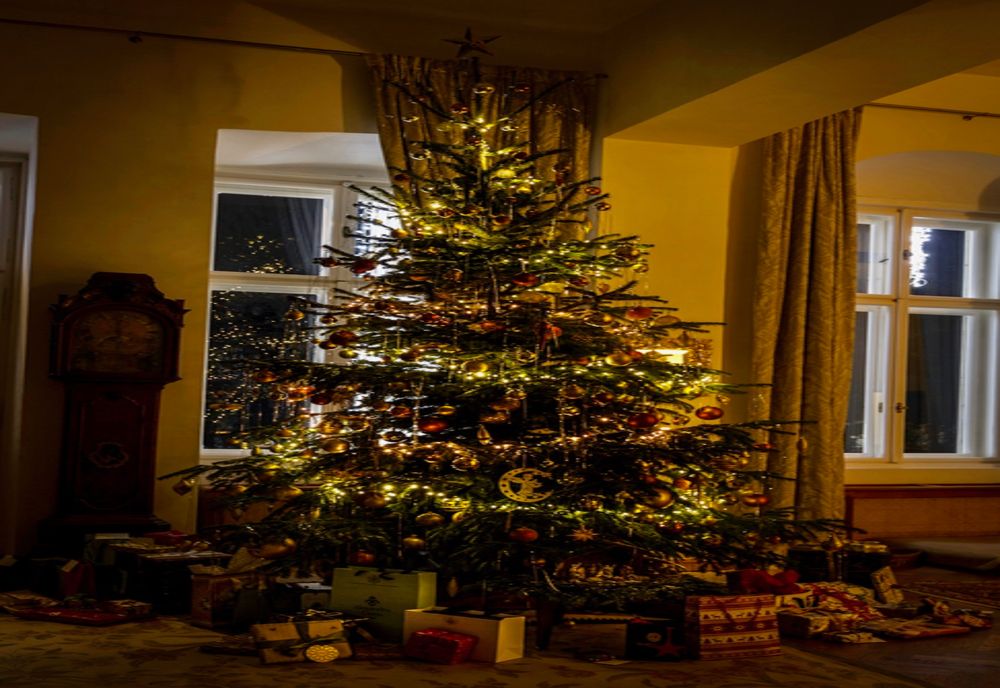 Arad: FOTO Fotografii inedite realizate chiar de către ASR Sofia cu Crăciunul Regal de la Castelul de la Săvârșin