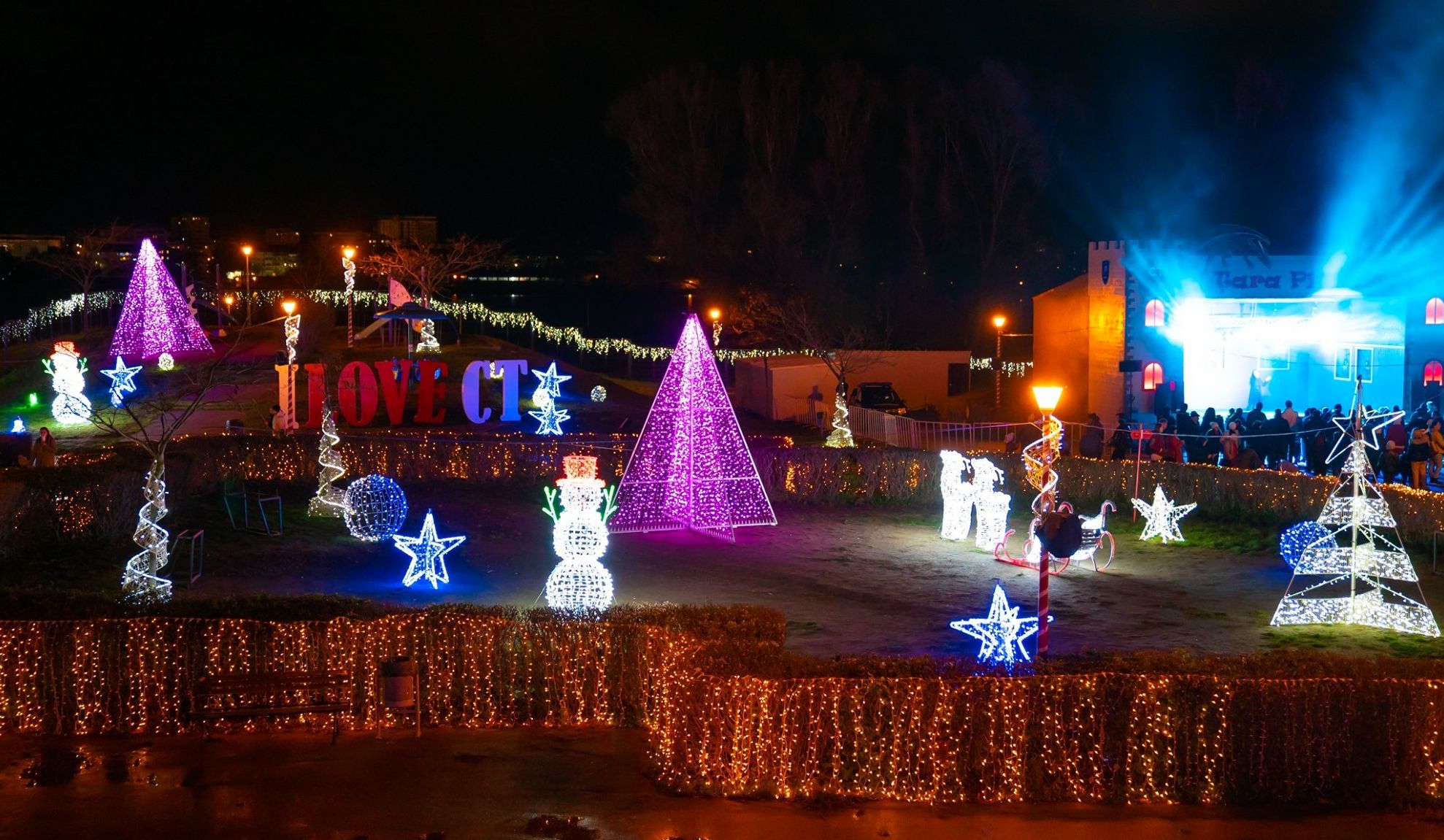 Festivalul Iernii 2019 (3)