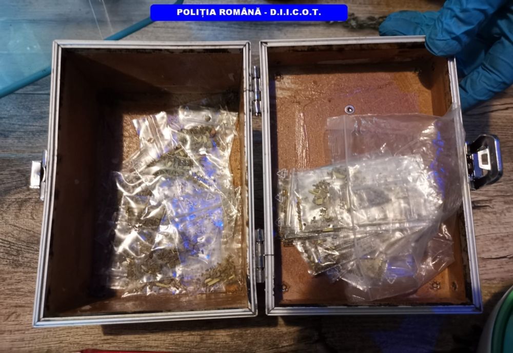 Percheziții la Constanța.  Persoane arestate pentru trafic  cu substanțe psihoactive