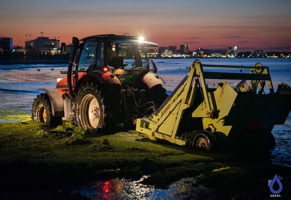 VIDEO| Mii de tone de alge strânse pe litoral si amenzi de 550.000 lei operatorilor