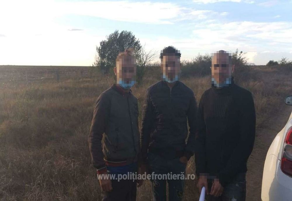 Doi marocani și un algerian opriți în drumul spre Europa, într-un lan de porumb